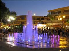 183 D25 BORMES LES MIMOSAS 3_000006